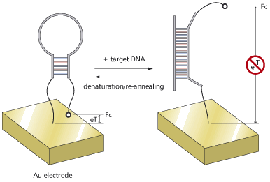 【传感器技术突破】精准追踪每一球,为比赛提供“全景”数据!的简单介绍 【传感器技术突破】精准追踪每一球,为比赛提供“全景”数据!的简单介绍