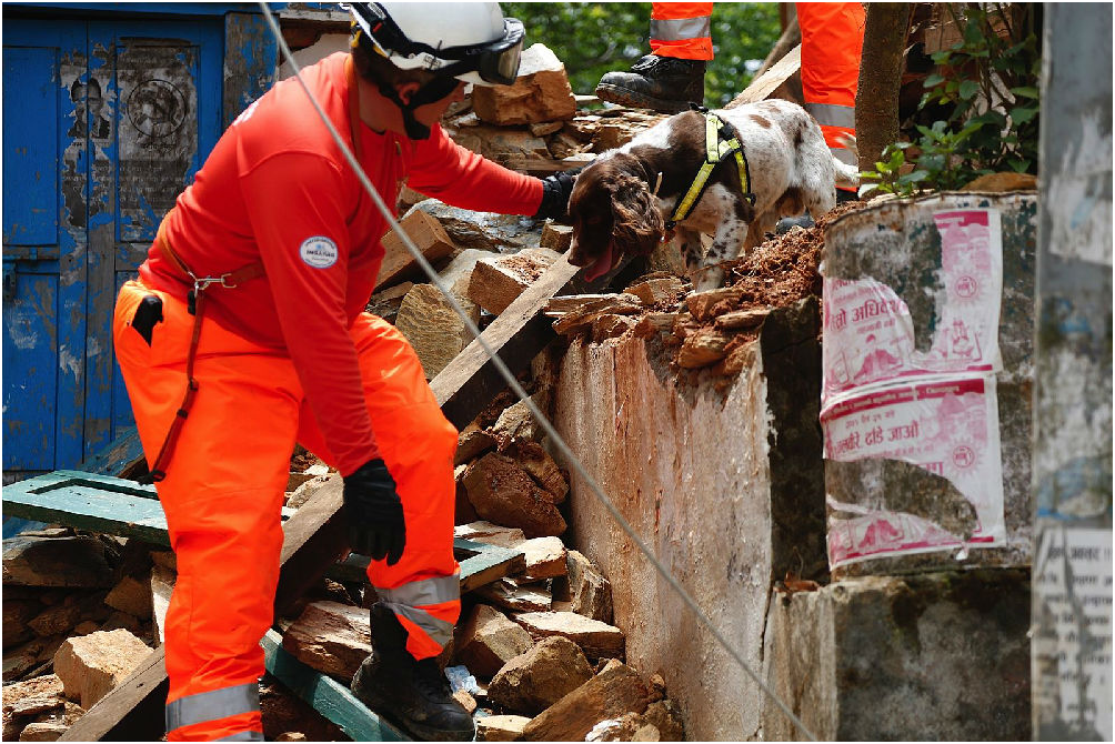 包含突发事件背后的英雄:救援团队全纪录的词条 包含突发事件背后的英雄:救援团队全纪录的词条