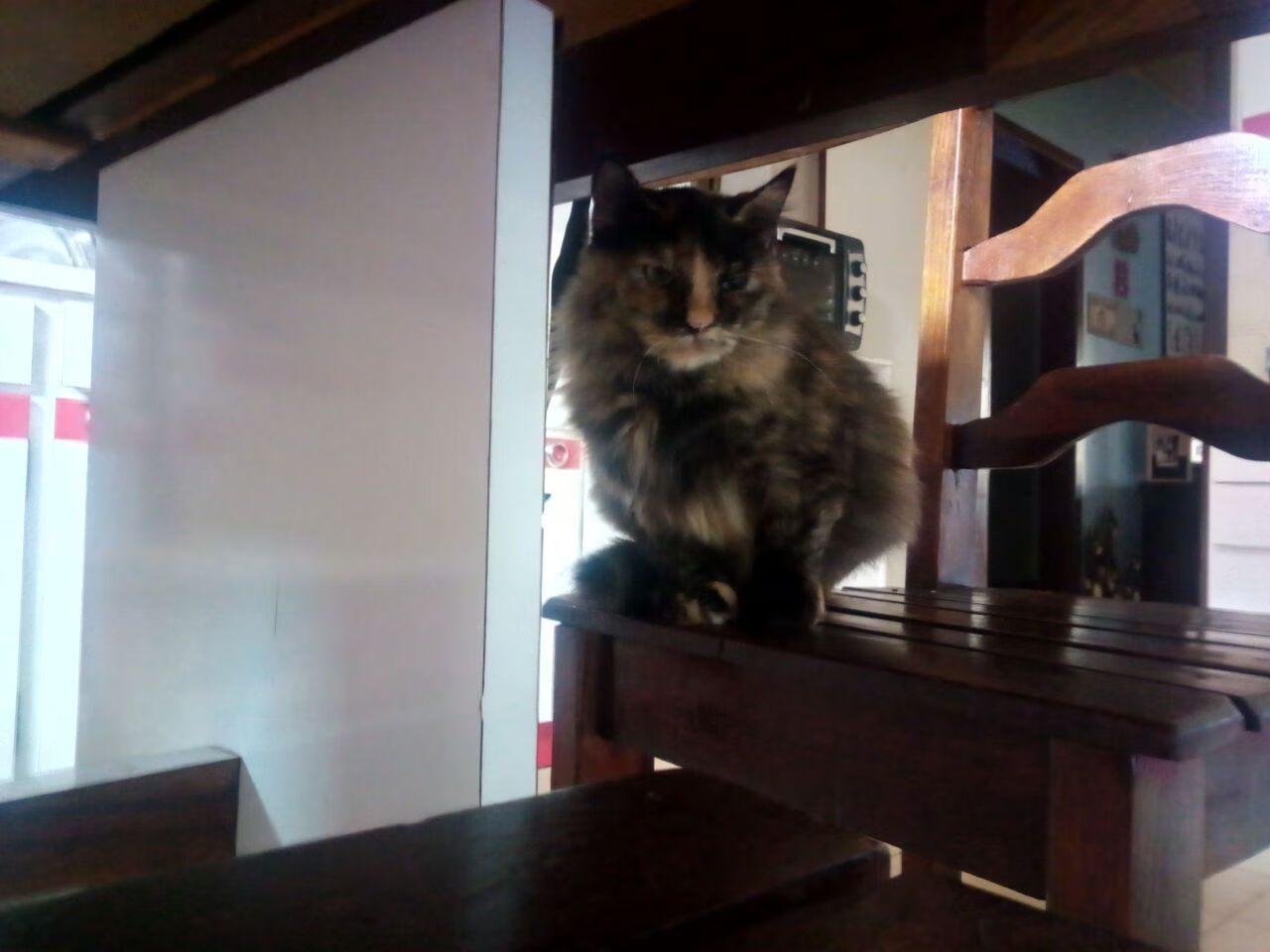 《《使命召唤:现代战争3》上线全新多人模式》,使命召唤 现代战争 3