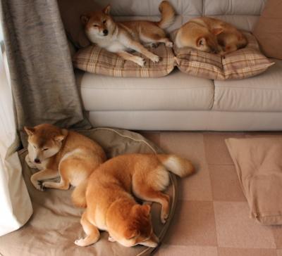 【比赛大洗牌】奥沙利文如何应对突如其来的犯规挑战?,奥沙利文最经典比赛