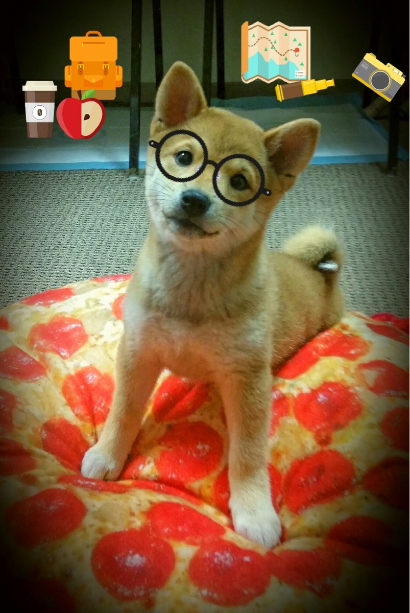 太空狼人杀“推理王者”全球总决战激情燃爆