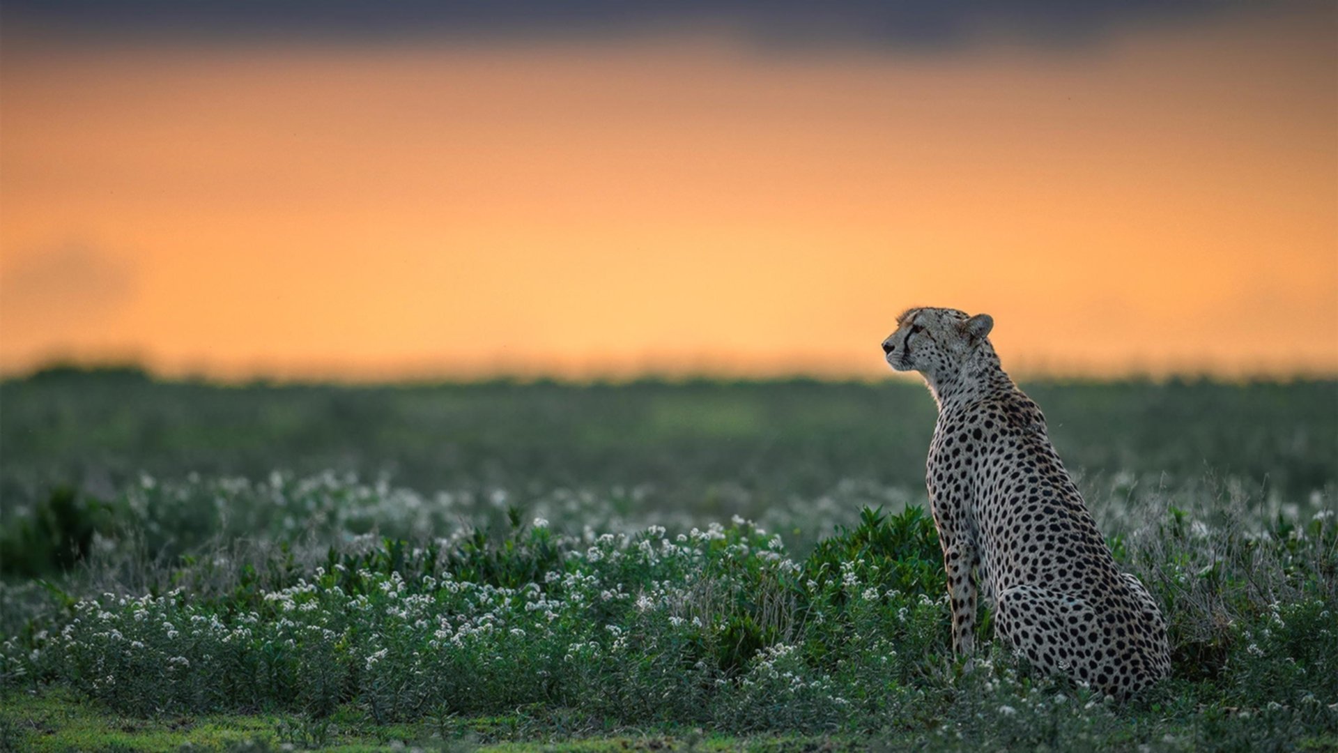 日本代表团成员体验杭州亚运村服务，赞赏志愿者热情好客。，广州亚运会日本代表团
