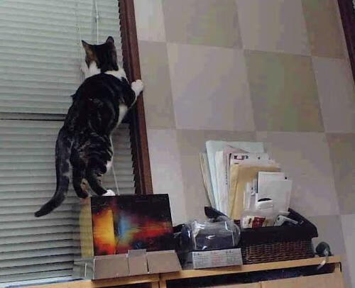 皇马中场核心复出,球队战斗力全面提升,皇马中场有哪些巨星