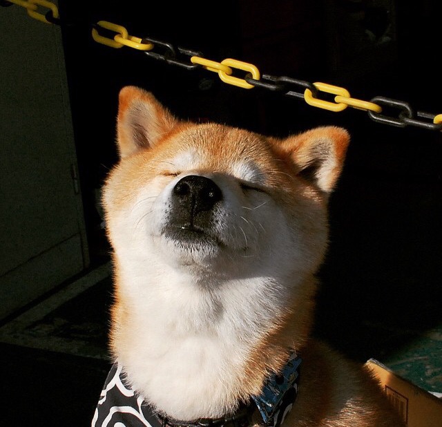 绿色环保场馆效果明显，行业持续践行可持续发展战略，绿色环保设施