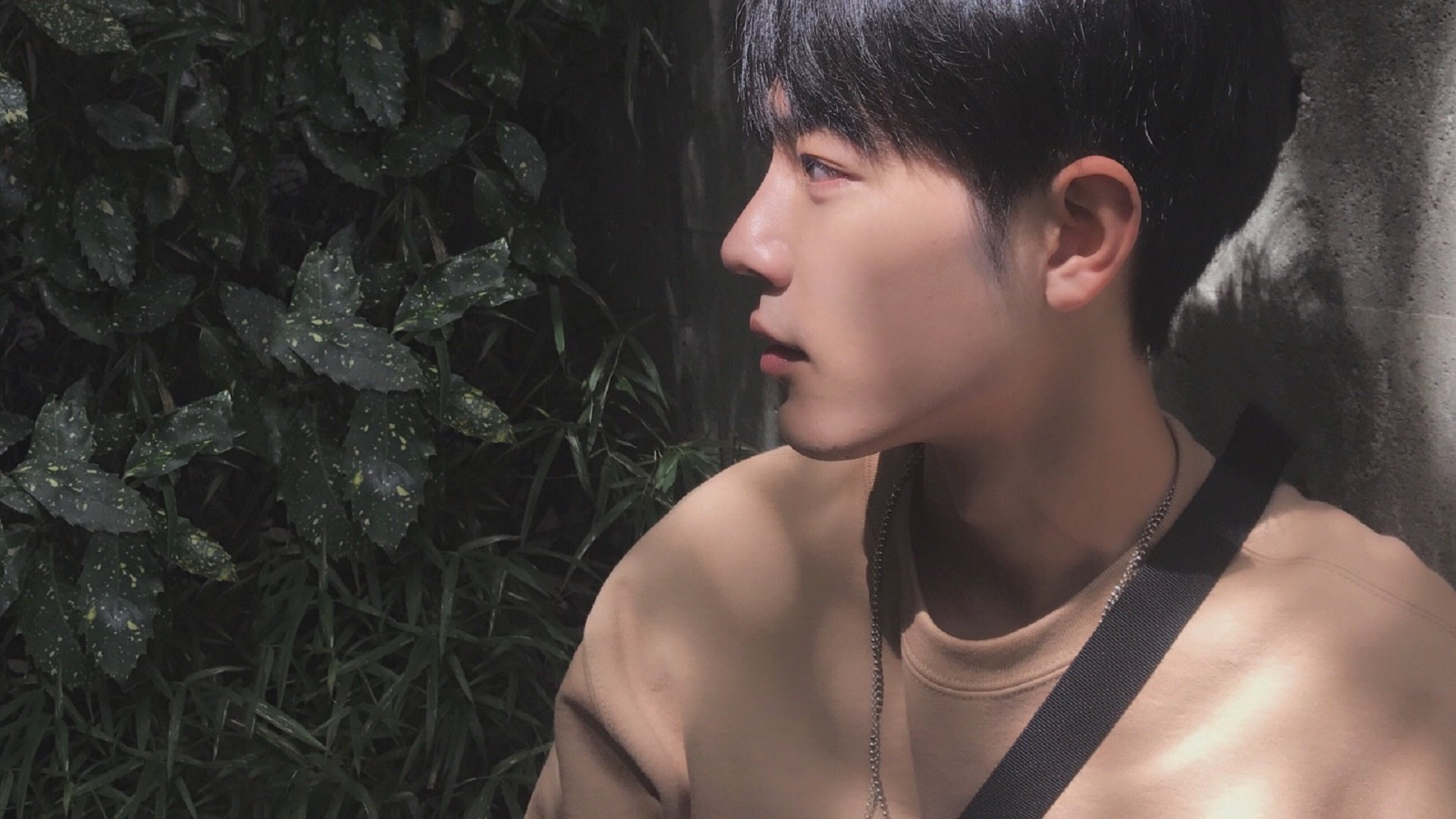 多特蒙德再度遭遇伤病潮,关键球员疑似缺阵,多特蒙德的球星