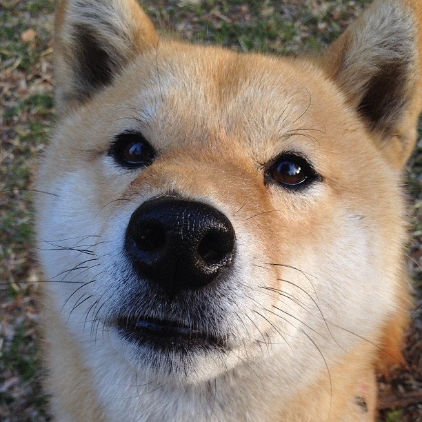 开云体育APP下载-法国选手表现抢眼，信心满满，法国选秀女歌手