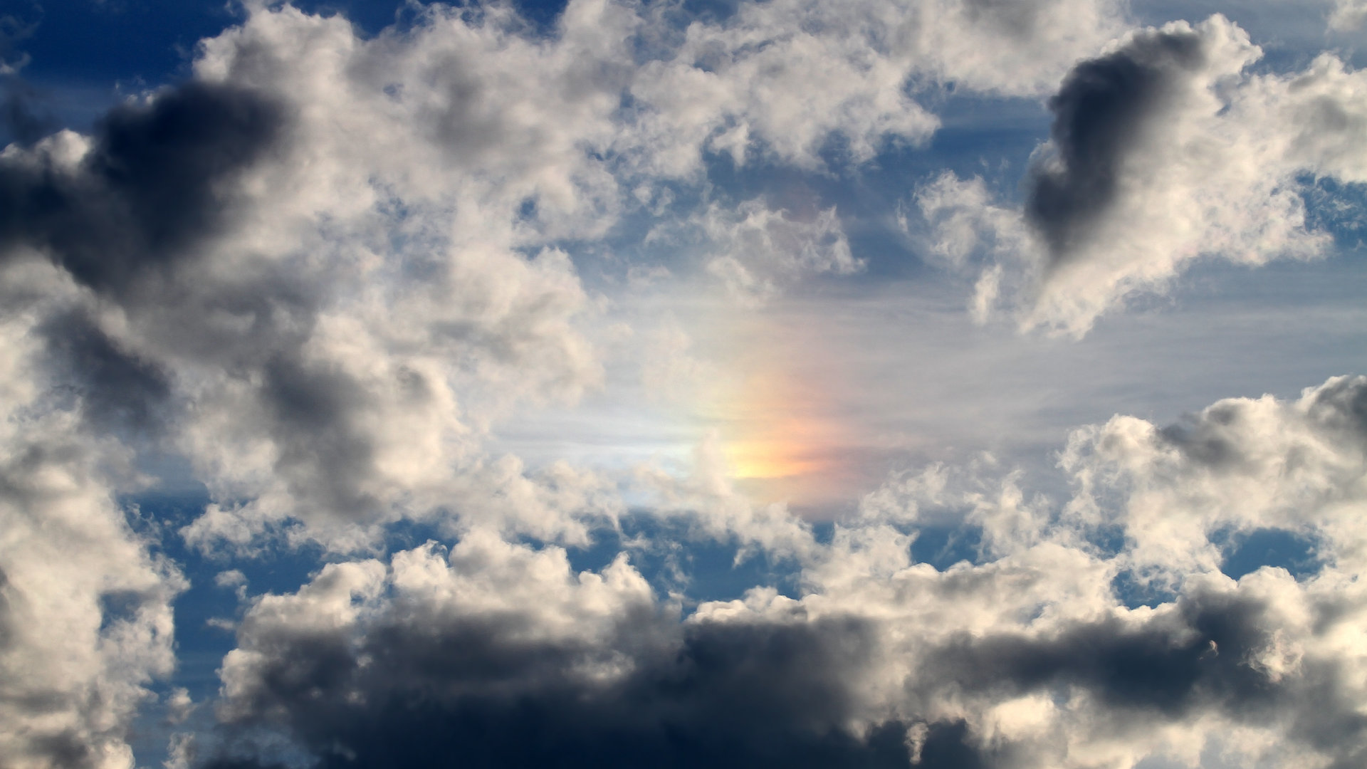 石油人球员配合默契提升,石油人是什么