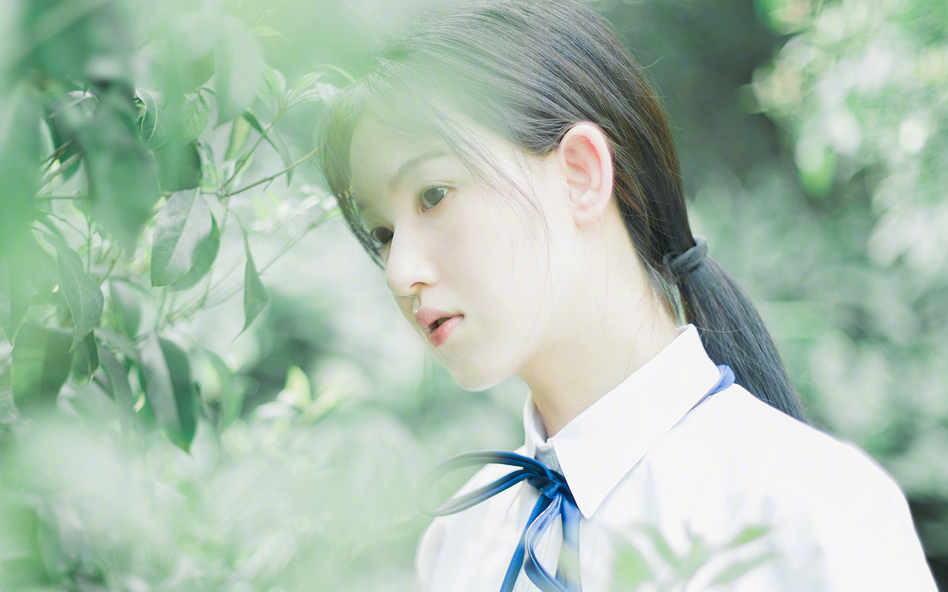 雷恩队在最新的比赛中战胜对手，继续保持良好状态，雷恩是哪个联赛的