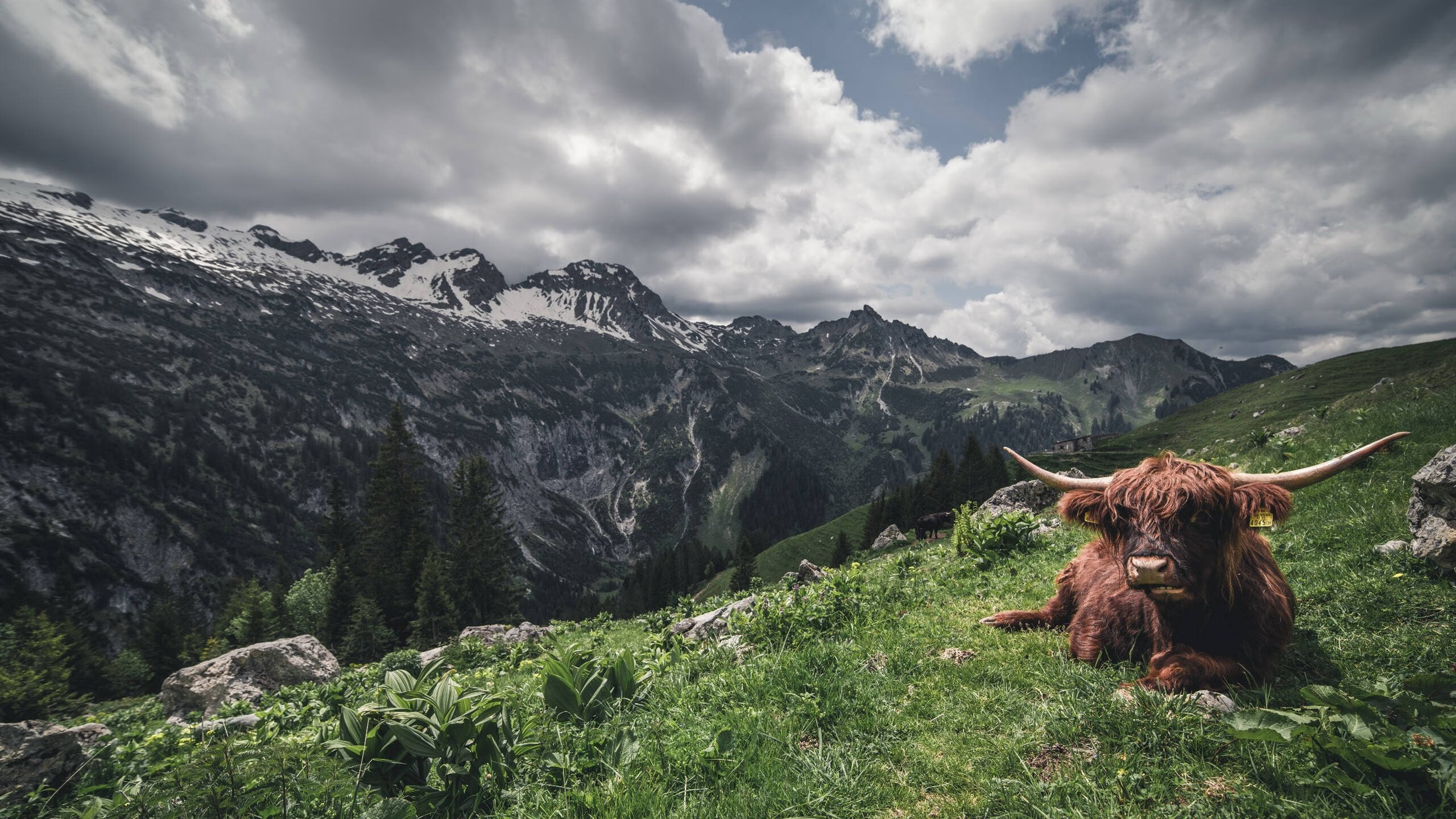 雷霆是否有机会杀入西部前三,雷霆是否有机会杀入西部前三的英雄