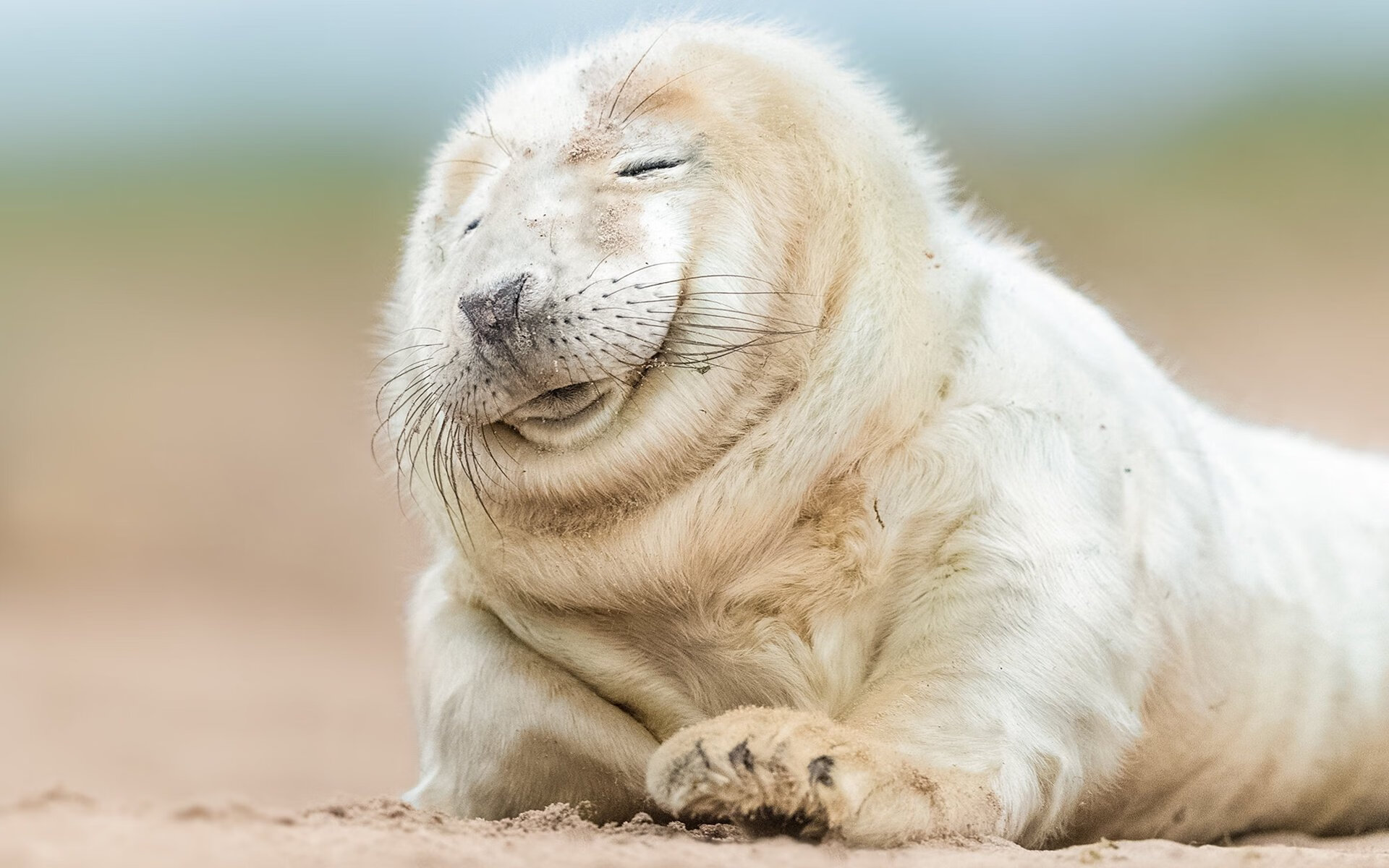 中国青少年篮球推广与校园篮球融合发展策略,2019全国青少年校园篮球特色学校