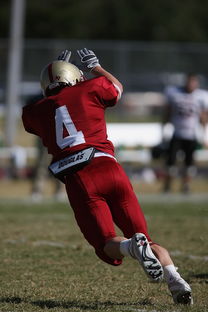 开云网站-德甲球队休赛期集训方式对开局表现影响，德甲青训规则