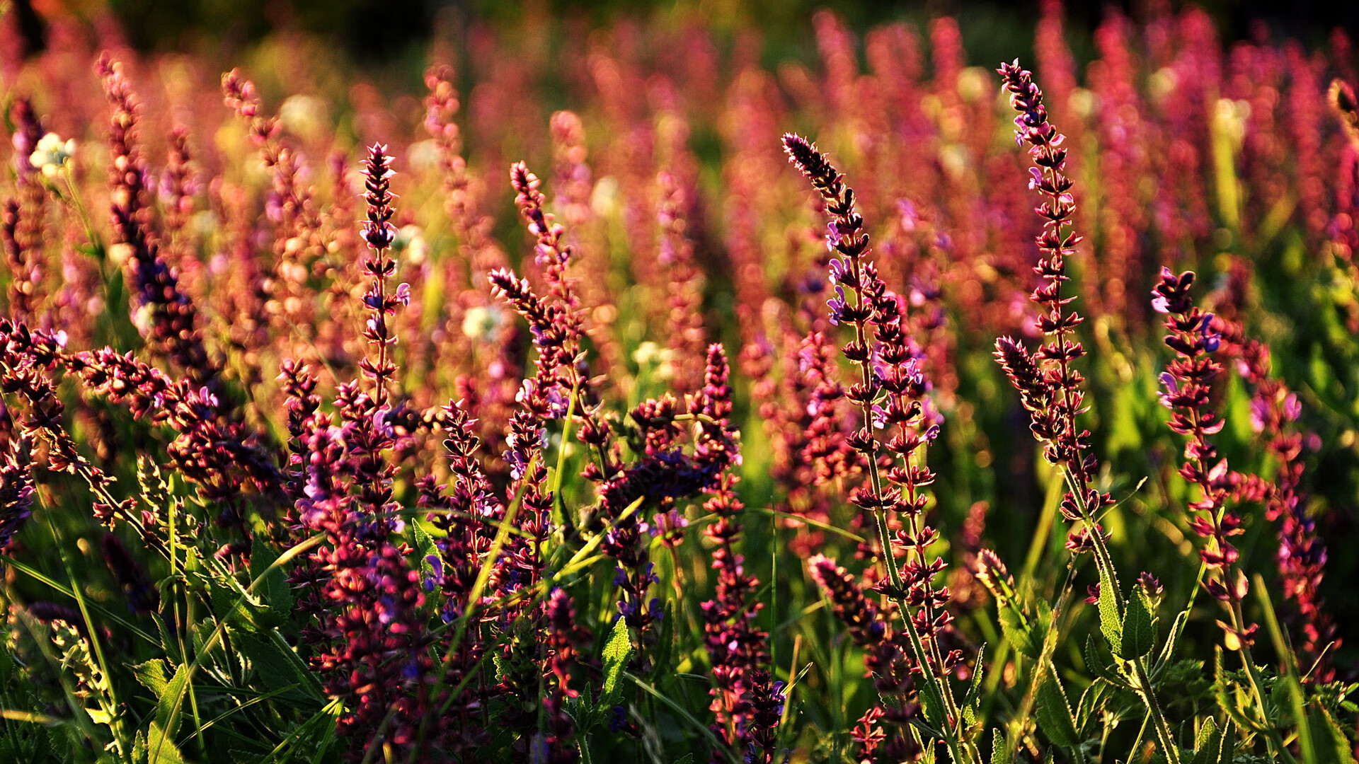 kaiyun官方入口登录-“多地暴雨雷暴，比赛时间频繁推迟”