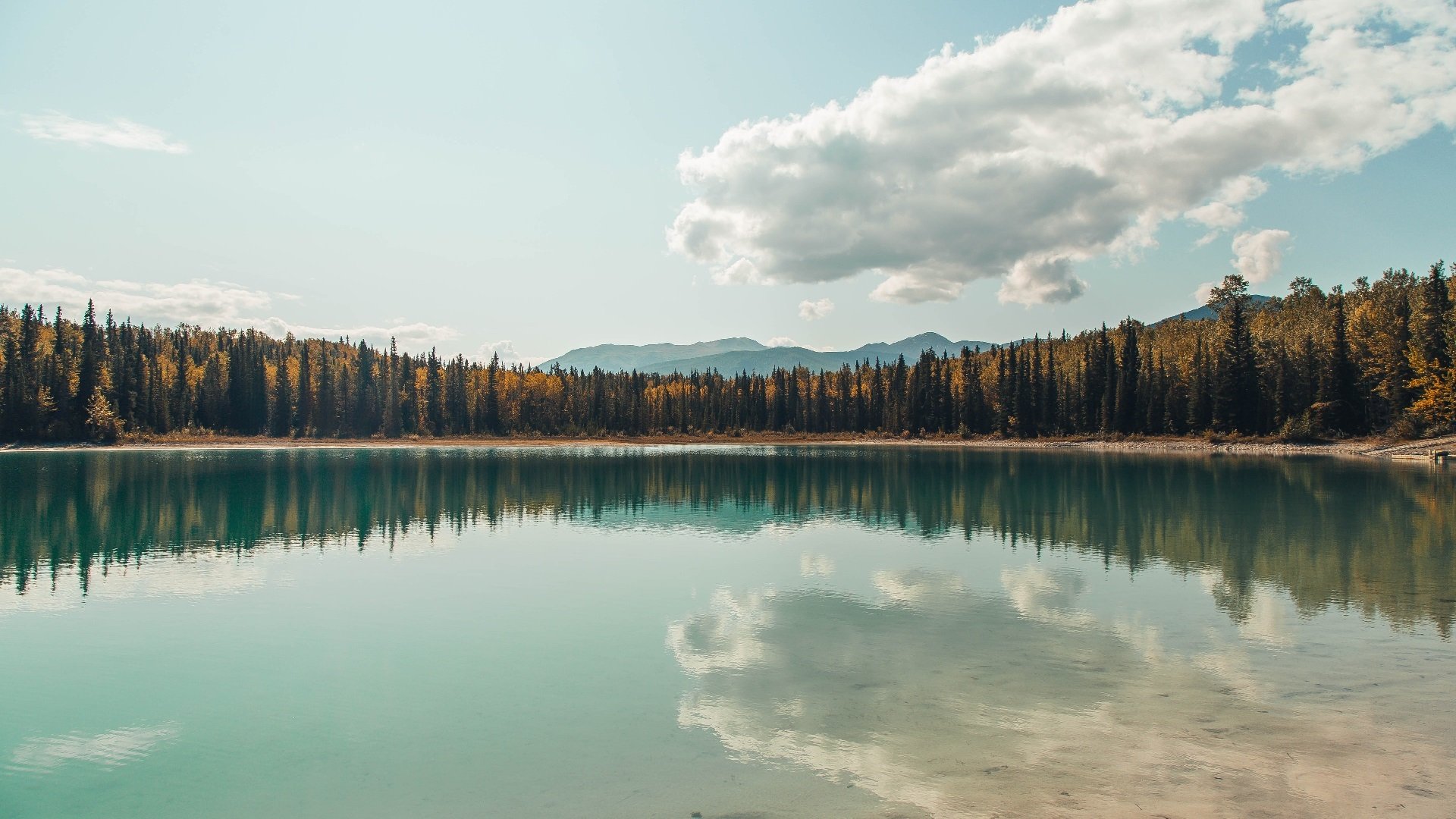 kaiyun官方入口登录-中国女篮表现突出 多次获胜展现实力，中国女篮虽败犹荣