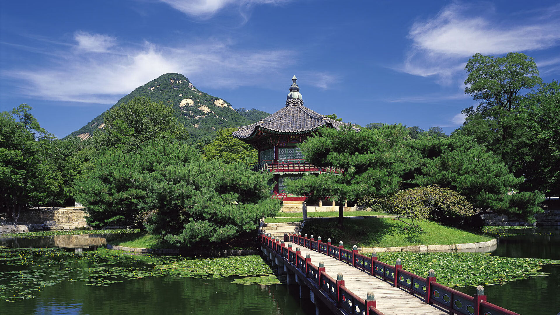 加拿大队未来发展计划:如何冲击国际乒乓舞台的巅峰,乒乓加拿大组合