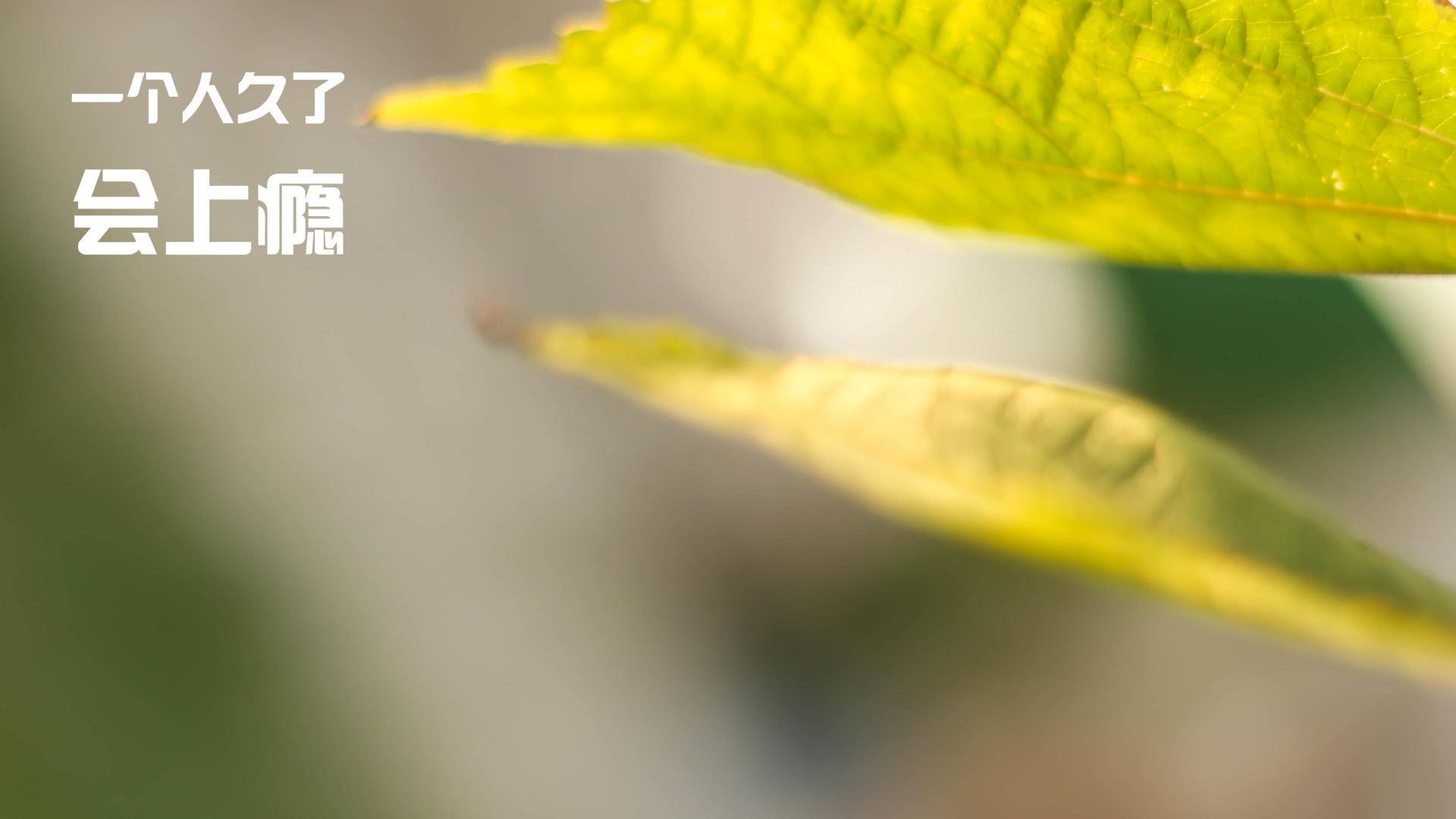 基层足球发展如何打破资源壁垒,足球如何突破