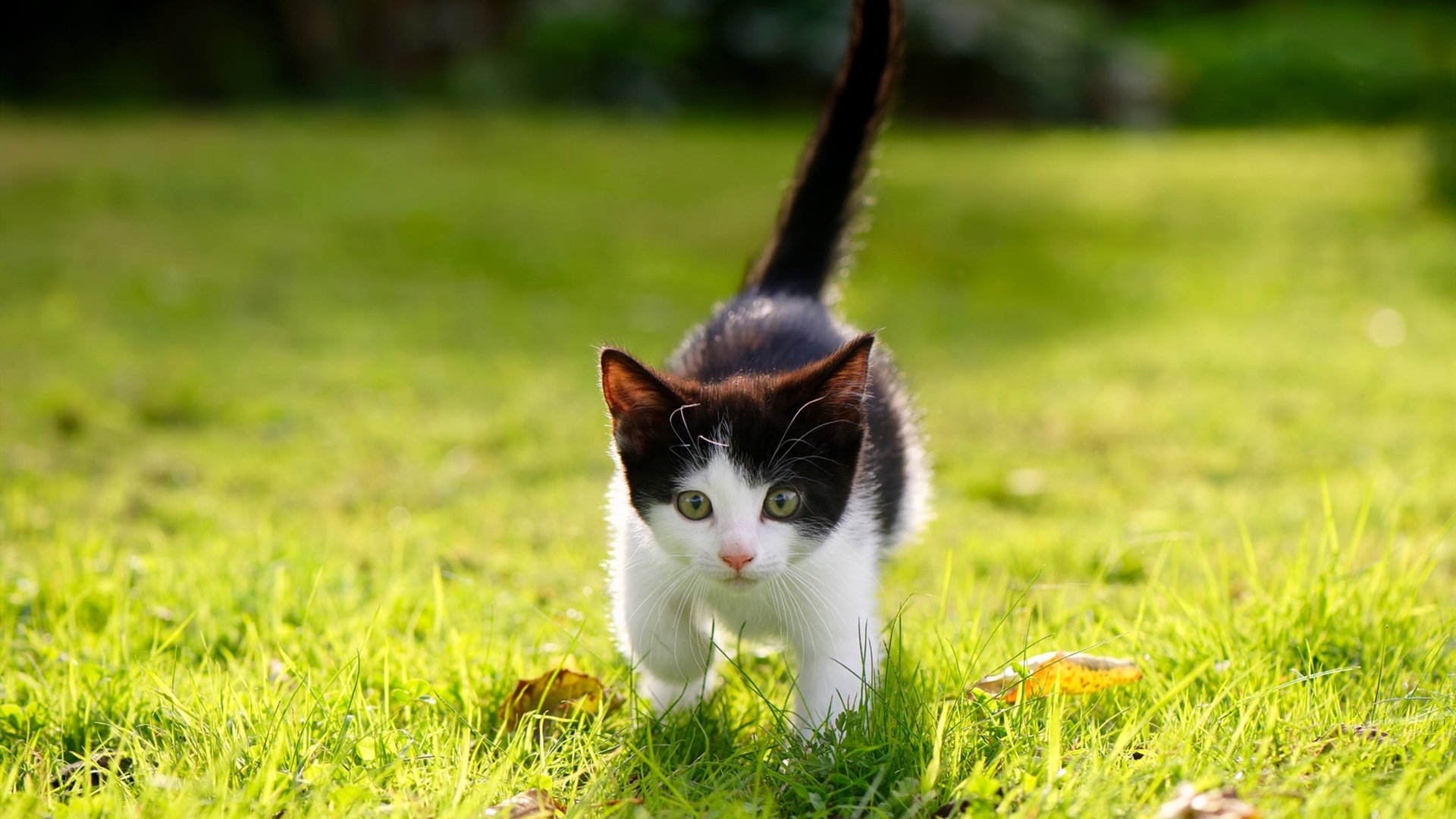 射门转化率是否明显受控球时间影响,英超射门转化率