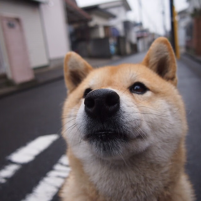 教练组面临调整压力巨大，教练的压力很大吗