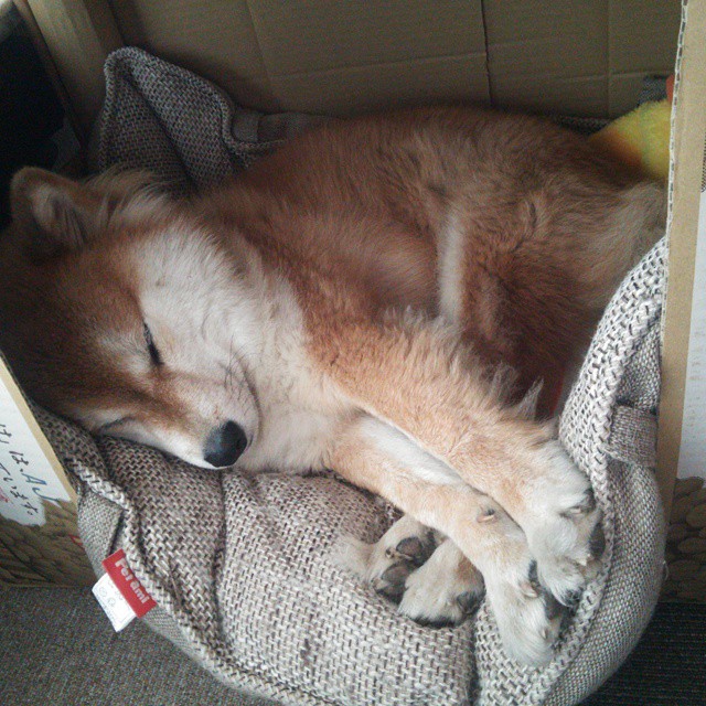 KAIYUN 中国大陆-国家队重视海外球员观察加强国际人才回归计划