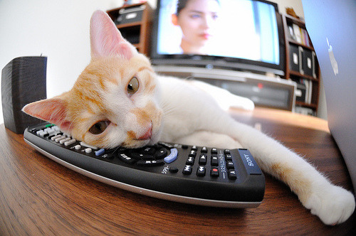 高校篮球实验班纳入数据统计与战术解读双模块,大学篮球试训