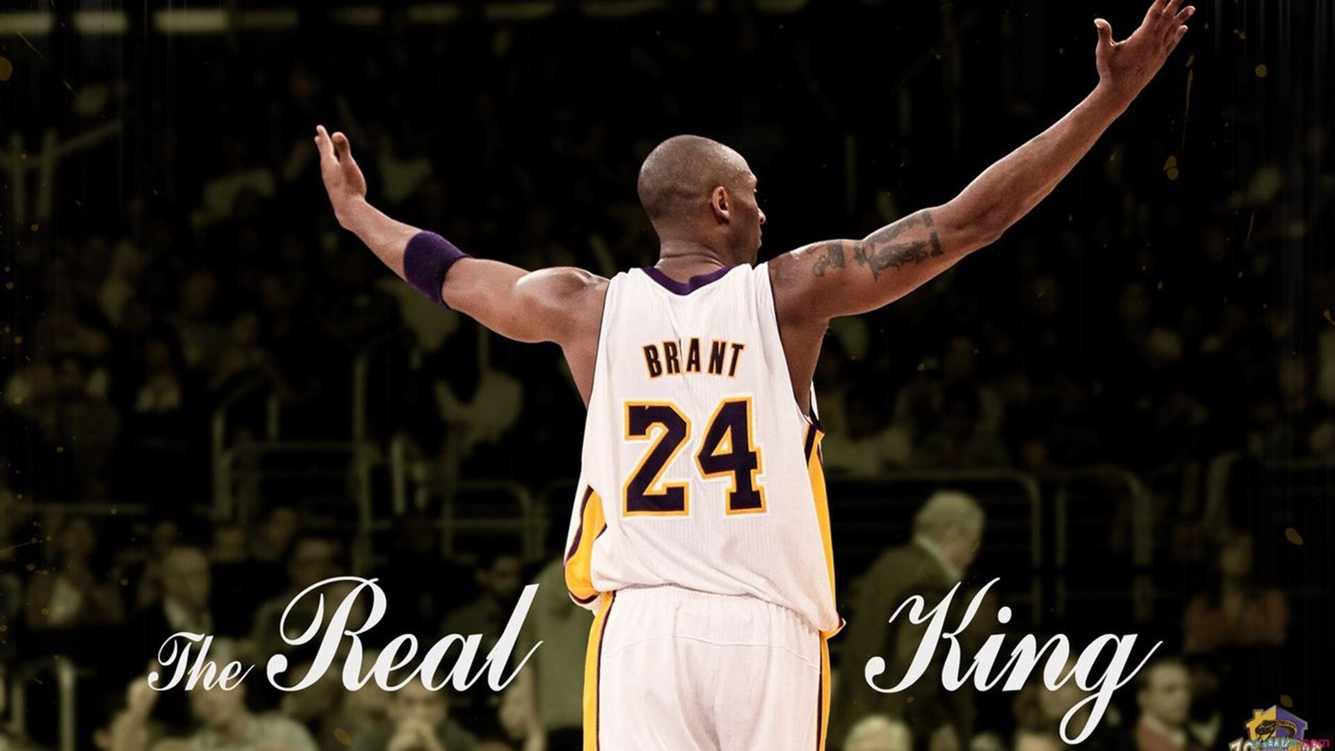 开云APP-勇士组织“球员文化互换周”，多国球员互教语言，勇士队球员简介